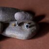 The sapphire with diamond ear pins - Image 4