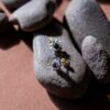The sapphire with diamond ear pins